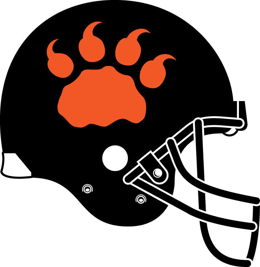 bc lions 2013-pres helmet logo iron on transfers for clothing